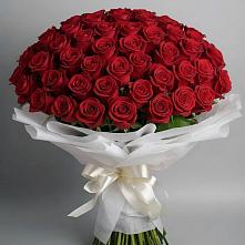 Букет 101 Красная роза Блэк Мэджик в Долгодеревенское