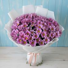 Букет цветов из:  Хризантемы #REPLACE_PRED# Долгодеревенское