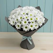 Букет цветов из:  Хризантемы #REPLACE_PRED# Долгодеревенское