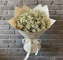 Букет цветов из:  Ромашки #REPLACE_PRED# Долгодеревенское
