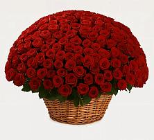 Премиум букет из: Розы в Долгодеревенское